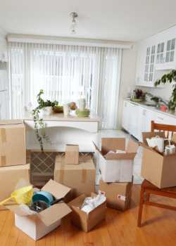 residential Professional Movers moving movers foreman